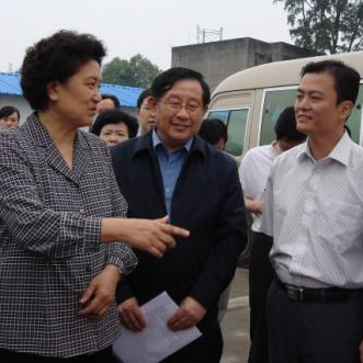 2008年5月29日，国务委员刘延东听取成都...